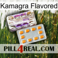 Kamagra Flavored new12